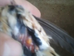 2013-03-24 11.55.36