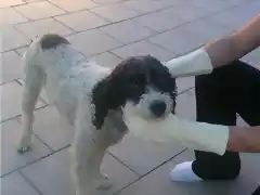 JIMMY en la calle CRDOBA