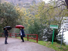 DSCN8323