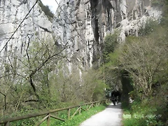R0012409 R0012409