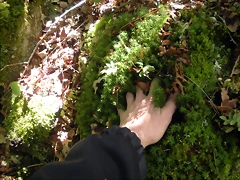 DSCN2772 DSCN2772