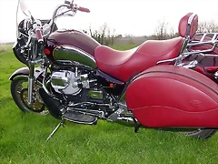calif80_2001_5