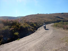 DSCN2581 DSCN2581