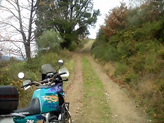 DSCN0876 DSCN0876