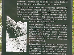 IMAG1570