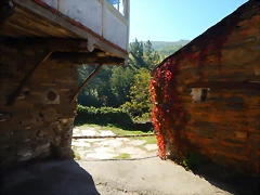 DSCN9395
