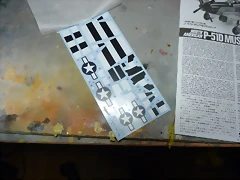 P1070224 P1070224