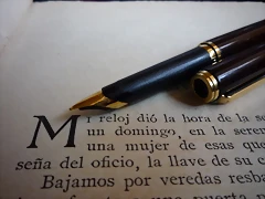 P1030593 P1030593