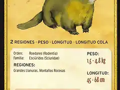 marmota de vientre amarillo