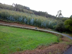 DSCN7234 DSCN7234