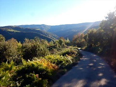 DSCN0667 DSCN0667