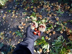 DSCN0040 DSCN0040