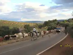 11, por la carretera, marca