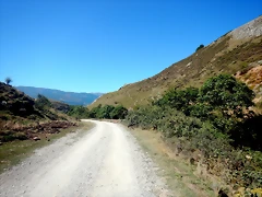 DSCN8394 DSCN8394