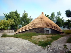 DSCN4769 DSCN4769