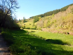 DSCN0079 DSCN0079