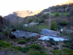 DSCN9126 DSCN9126