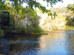 DSCN9746 DSCN9746