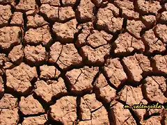 03, como tierra agostada y sin agua, marca