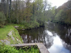 DSCN4134