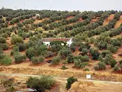 cortijo de zamora