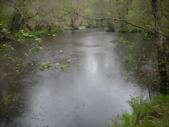 DSCN4169 DSCN4169
