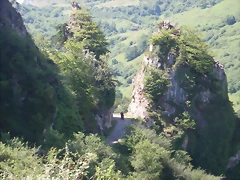 DSCN3850 DSCN3850