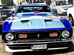 DSC_3503 DSC_3503