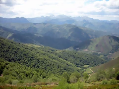 DSCN3954 DSCN3954