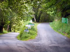 DSCN9294 DSCN9294