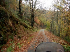 DSCN2771 DSCN2771