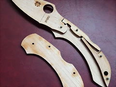 IMG_1335 IMG_1335