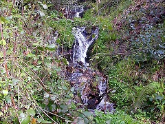 DSCN9064 DSCN9064