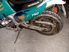 DSCN7708 DSCN7708