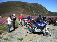 DSCF2531 DSCF2531