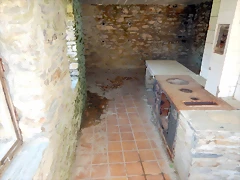 DSCN9177