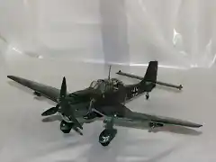 Stuka (19)