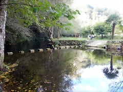 DSCN8275 DSCN8275