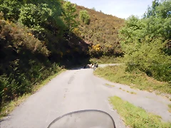 DSCN1157 DSCN1157