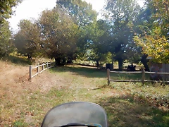 DSCN8783 DSCN8783