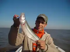 pesca y jaula 031