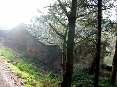 DSCN6257 DSCN6257