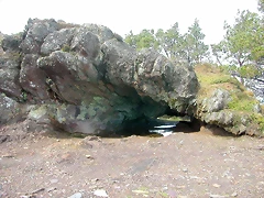 DSCN7661 DSCN7661