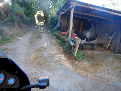 DSCN9105 DSCN9105