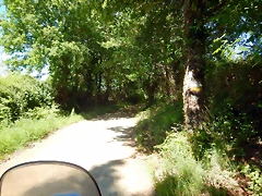 DSCN2304 DSCN2304
