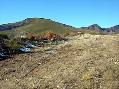 DSCN6837