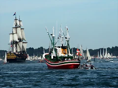 IMG_2661 IMG_2661