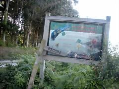 DSCN6877 DSCN6877