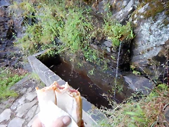 DSCN7786 DSCN7786