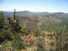 DSCF2512 DSCF2512